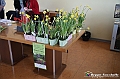 VBS_6029 - Presentazione Messer Tulipano 2024